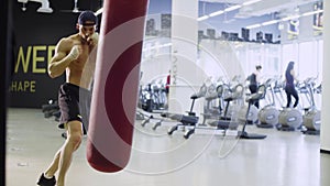 Boxer training punching bag