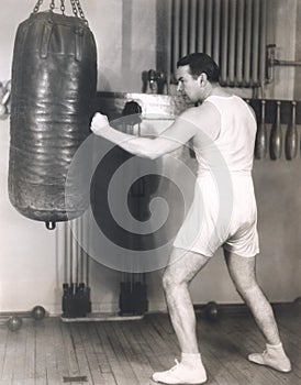 Boxer working out at gym