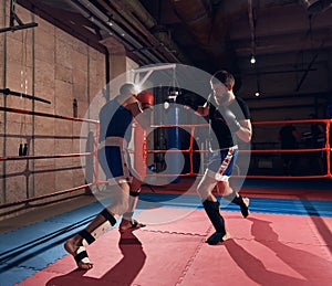 Boxers training kickboxing in the ring at the health club