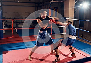 Boxers training kickboxing in the ring at the health club