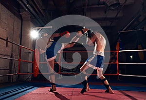 Boxers training kickboxing in the ring at the health club