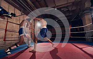 Boxers training kickboxing in the ring at the health club