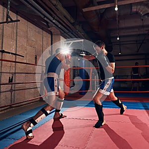 Boxers training kickboxing in the ring at the health club