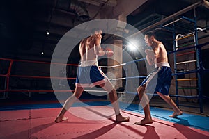 Boxers training kickboxing in the ring at the health club