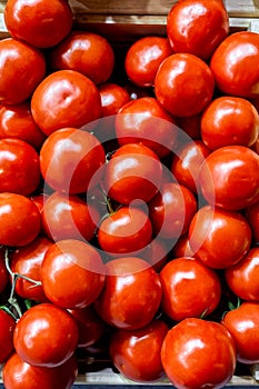 Boxes of bright red tomatoes ready for sale at a farmers market