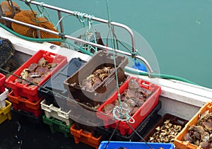 Boxes full of crabs on a boat