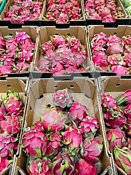 Boxes full of pitaya or dragon fruit in a market