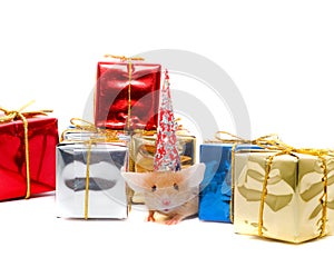 Boxes of gifts and mousy