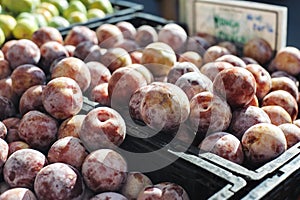 Boxes of Honey Punch Pluots at a Stand in the Farmers Market