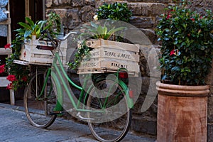 Boxes with plant on a green Italian Bicycle along the narrow streets of Florence, Italy