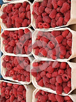 Boxes with raspberries
