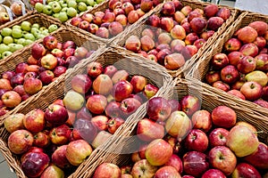 Boxes of red and green apples on boxes in supermarket