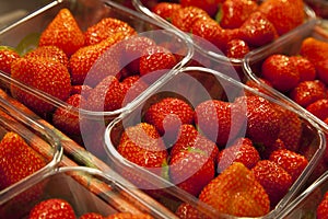 Boxes of Strawberries