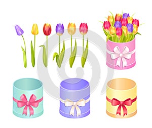 Boxes and Tulips Collection Vector Illustration