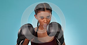 Boxing, athlete and portrait of woman fight training with gloves isolated in a studio blue background for exercise