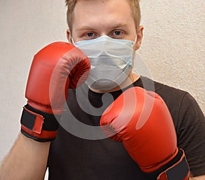 Boxing, boxer, woman, sport, young, fitness, gloves, fight, punch, glove, isolated, white, fighter, training, competition, exercis