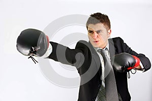 Boxing businessman