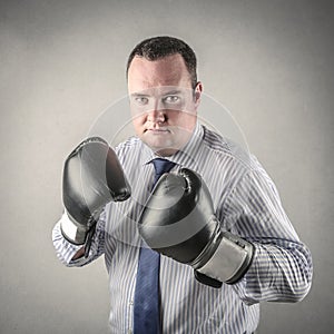 Boxing businessman