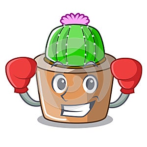 Boxing character cartoon flower of star cactus