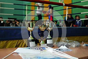 Boxing cup at the children's boxing competition