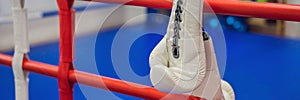 boxing equipment on the ropes of a boxing ring BANNER, LONG FORMAT