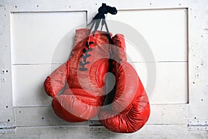 Boxing Glove