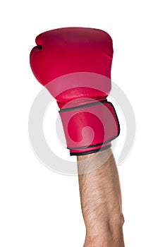 Boxing glove on a white background