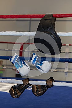 Boxing Gloves and Black Boxing Belt Hanging on the Ropes of a Ring