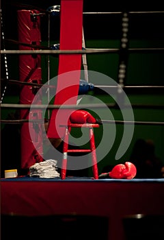 Boxing Gloves in Boxing Ring