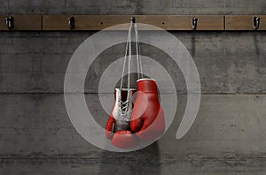 Boxing Gloves Hanging In Change Room