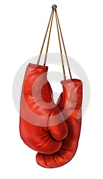Boxing Gloves Hanging photo