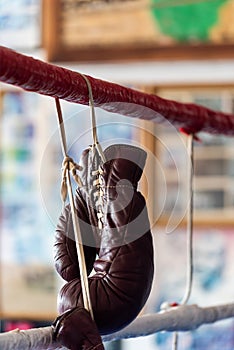 Boxing Gloves hanging on the ropes of a boxing ring
