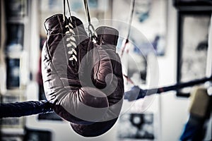 Boxing Gloves hanging on the ropes of a boxing ring