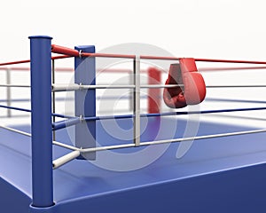 Boxing gloves hanging on ropes of ring.