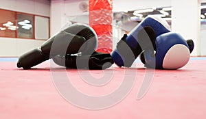 Boxing gloves laying in gym