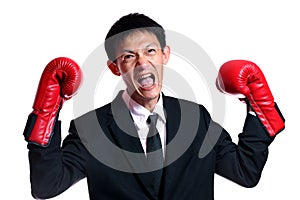 Boxing gloves man - concept showing aggressive female flexing m