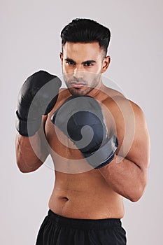 Boxing gloves, portrait and man training in sports fight, challenge or mma competition on studio background. Strong