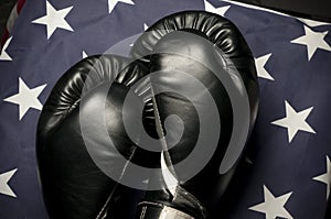 Boxing Gloves on the US Flag