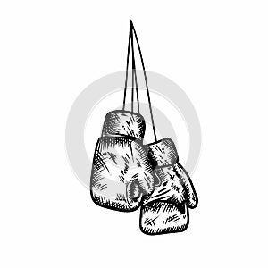 Boxing gloves vector illustration hand drawn sport sketchÐ½ÐµÑ‚Ð°