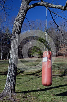 Boxing Heavy Bag