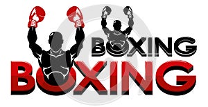 Boxing logo