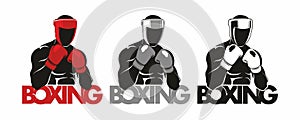 Boxing logo