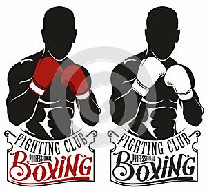 Boxing logo photo