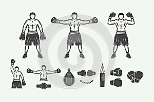 Boxing and martial arts logo badges, labels and design elements