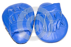 Boxing Mitts photo