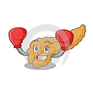 Boxing pancreas character cartoon style