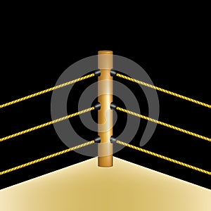 Boxing ring with brown ropes