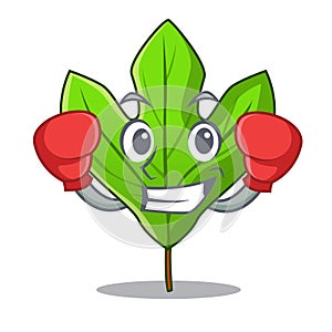 Boxing sassafras leaf isolated in the character