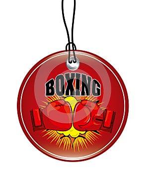 Boxing sport