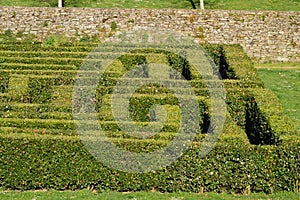 Boxwood labyrinth maze garden